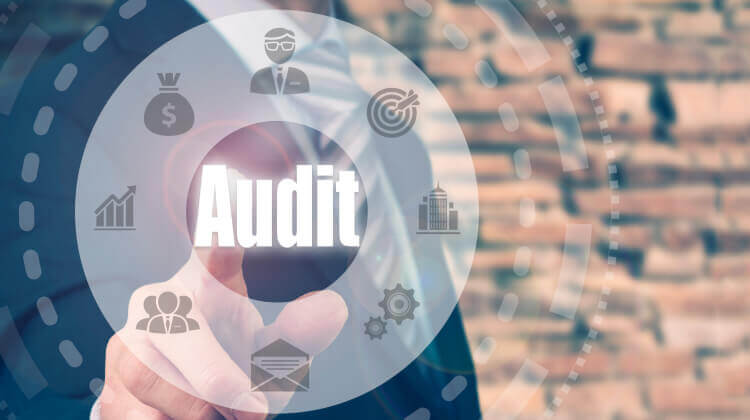 Audit and assurance